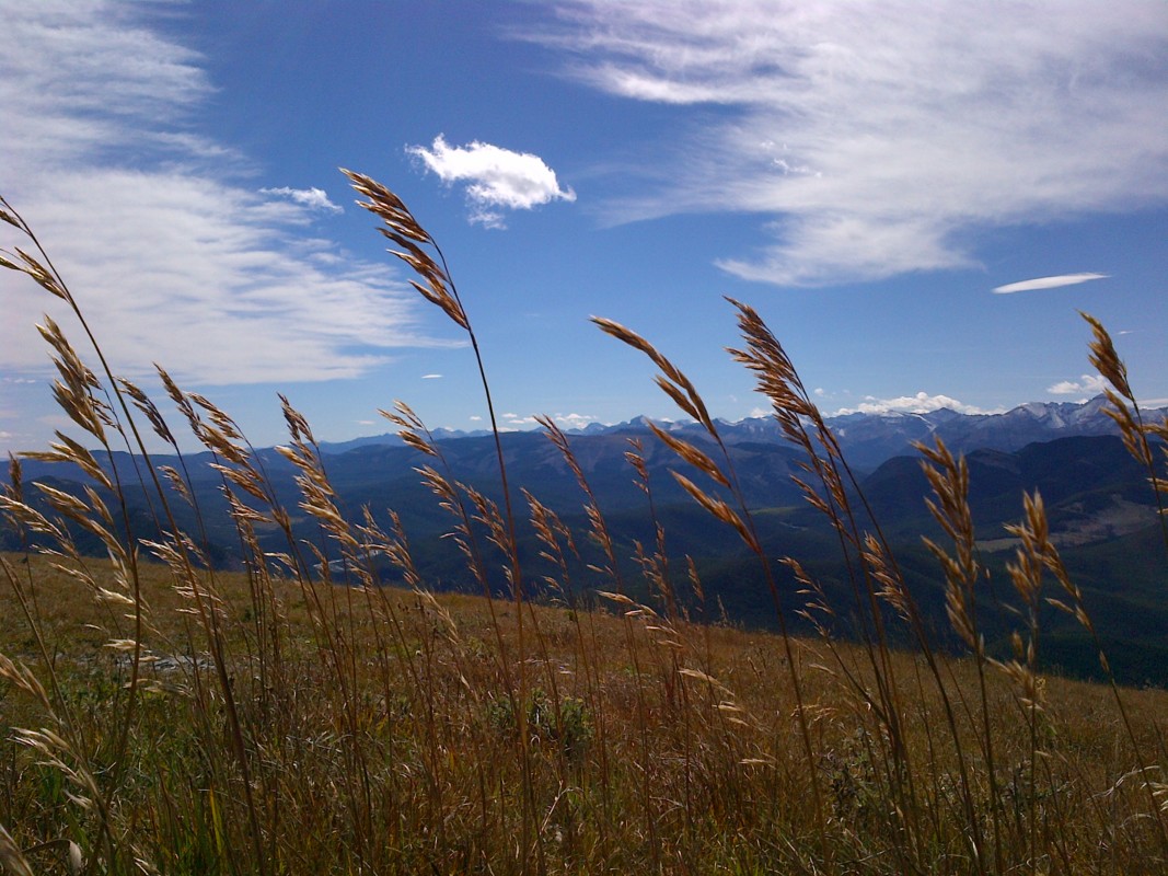 the-august-long-weekend-in-canada